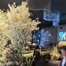 더케이웨딩컨벤션부페 | 수원 웨딩홀 투어 #3 더케이 웨딩컨벤션 - 가성비 원한다면 여기로! (견적 공유) / 하객 후기