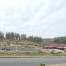 서귀포환승정류장 이미지