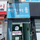DOG HONEY PET SALON | [공릉 애견미용] 노견도 OK! 10년째 다니고 있는 친절한 애견 미용샵 ♥핫dog♥