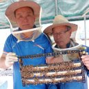 이상열농장 이미지