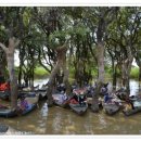 캄보디아인상기25-맹그로브 숲의 풍경 이미지