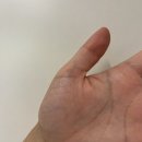 [Review/내돈내산] 롬앤 글래스팅 컬러 글로스 02 너티베이그 솔직 후기