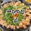 제주곱 | 제주제원맛집_곱창 :: 신선한 황소곱창 잡내없이 깔끔한 <제주곱> 내돈내산 후기