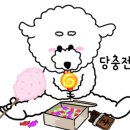 완동 이미지
