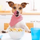 소망 동물병원 이미지