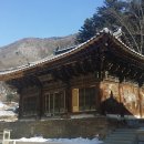 창연농장 티스토리