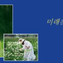 (주)SH에너지화학