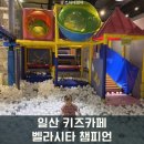 벨라시타 챔피언 일산 키즈카페 14개월 7세 내돈내산 방문 후기