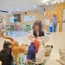 집사의하루 노원점 이미지