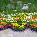 명품가로공원 이미지