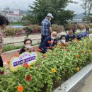 금왕읍 노인회분회 이미지