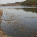 배다리낚시터 이미지