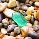 미니정원(테라리움) 이미지