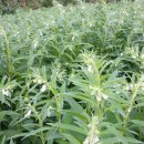 철이네농장 이미지