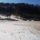 청남농원 이미지