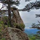 [25년 10월정기산행]괴산-문경/연어봉-신선봉-마패봉-부봉&amp;문경새재길 이미지