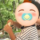 솔밭휴게소식당 | 2025-08-17 하루 (쌍곡휴게소) + 후기