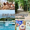 맑은동심유치원 | [#2 오키나와] 1월 오키나와 3박4일 여행일정 : 북부 코스(이누비 레스토랑 / 추라우미수족관 / 돌고래...