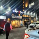 바다세꼬시 회.초밥 | 해운대 맛집 부산 여행 볼락 회를 세꼬시로 싱싱회뽈락 본점 내돈내산 후기