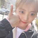 수연 이미지