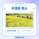 온천천시민공원 영산홍 이미지