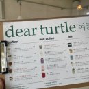 디어터틀(dear turtle) 이미지