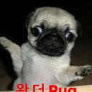 마음따라뛰는건멋지지않아?!?!!!?