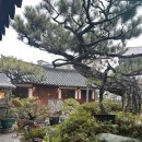 현대예술관 | 울산 현대예술관 양인모 리사이틀 후기
