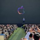 에스씨 메디컬 이미지