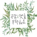 워시팡팡무인셀프빨래방광주 이미지