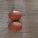 행복한신선농장 이미지