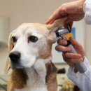 동천 동물병원 이미지