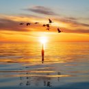 비전(Vision- 이미지