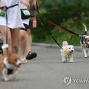 월 이미지