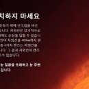 대림 그랑프리 안경원 이미지