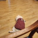 오하브글램핑 이미지