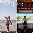 제주도 동부투어 뚜벅이 1인 가능 투어 가이드가 인생사진 남겨주는 트립이즈마인