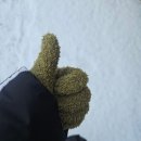 SF영어도서관 | !백지를 내도 백 점!