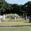 정경부인 이미지