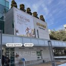 용인시박물관 | 용인 실내 갈만한곳 용인시박물관 주차정보