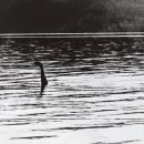 MONSTER PC 이미지