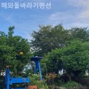 해와돌바라기 휴양펜션 | 제주도펜션 해와돌바라기펜션 친구들과 함께 가기 좋은 곳