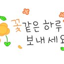 페이퍼플라워 힐링 클래스 이미지