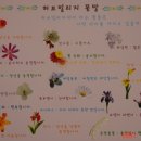 허브세상 이미지