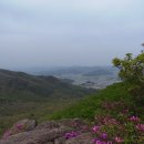 [산포로기행 호남정맥 전남 장흥군 갑낭치-망바위-새재-시루봉-제암산-곰재산-사자산-삼거리-철쭉군락지-골치-전남 보성군 골치산 자연휴양림]12년 5월 5일 이미지