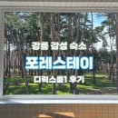 강릉 감성 숙소 추천 :: 포레스테이 디럭스룸1 후기