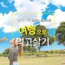 미지로여행세상 이미지