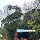 장동 계족산마을 | [공지] 대전 장동산림욕장 황토길 맨발걷기🦶 공기부터 다른 힐링 등산코스!