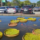 한택식물원주차장 이미지