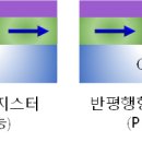 스핀 서울경제